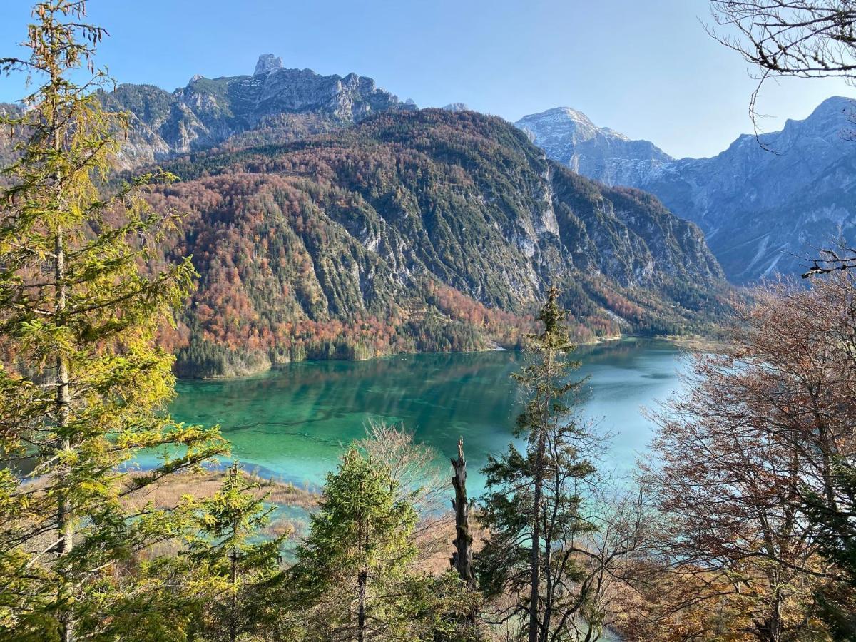 Bergglueck - Gemuetliches Appartement Am Traunsee 阿尔特穆斯特 外观 照片