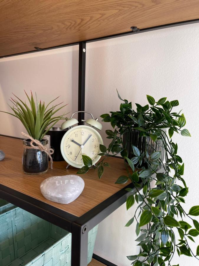 Bergglueck - Gemuetliches Appartement Am Traunsee 阿尔特穆斯特 外观 照片
