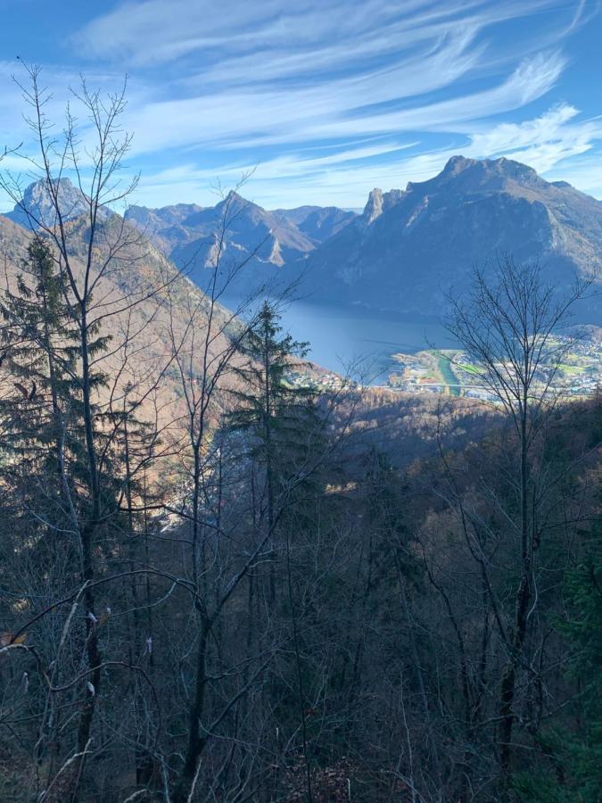 Bergglueck - Gemuetliches Appartement Am Traunsee 阿尔特穆斯特 外观 照片