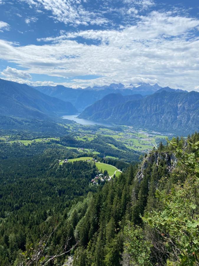 Bergglueck - Gemuetliches Appartement Am Traunsee 阿尔特穆斯特 外观 照片